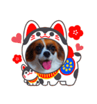 パピヨンすたんぷ3♡大人の敬語すたんぷ（個別スタンプ：32）