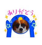 パピヨンすたんぷ3♡大人の敬語すたんぷ（個別スタンプ：40）