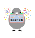 ぷっくり鳩ぽっぽのスタンプ（個別スタンプ：40）