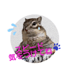 みんなと一緒13（個別スタンプ：2）