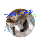 みんなと一緒13（個別スタンプ：6）
