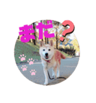 みんなと一緒13（個別スタンプ：8）