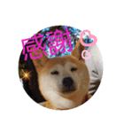 みんなと一緒13（個別スタンプ：9）
