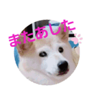 みんなと一緒13（個別スタンプ：14）