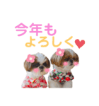 シーズーもぐとにこのスタンプ（冬編）（個別スタンプ：2）
