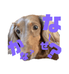 らぶぞぅi（個別スタンプ：2）