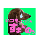らぶぞぅi（個別スタンプ：5）