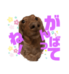 らぶぞぅi（個別スタンプ：7）
