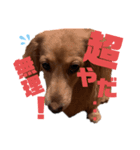 らぶぞぅ心の声a（個別スタンプ：3）