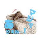 らぶぞぅ心の声a（個別スタンプ：4）
