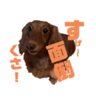 らぶぞぅ心の声a（個別スタンプ：5）