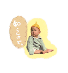 羽泰んぷ 7months（個別スタンプ：3）