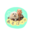 羽泰んぷ 7months（個別スタンプ：4）