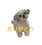 あんちゃん❣️スタンプ（個別スタンプ：5）