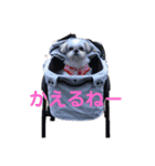 あんちゃん❣️スタンプ（個別スタンプ：8）
