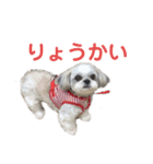 あんちゃん❣️スタンプ（個別スタンプ：10）