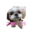 あんちゃん❣️スタンプ（個別スタンプ：12）