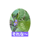 花とクラフトと…（個別スタンプ：3）