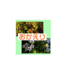花とクラフトと…（個別スタンプ：9）
