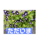 花とクラフトと…（個別スタンプ：10）