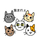 ファイブにゃん（個別スタンプ：3）