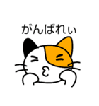 ファイブにゃん（個別スタンプ：8）