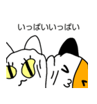 ファイブにゃん（個別スタンプ：17）