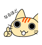 ファイブにゃん（個別スタンプ：18）