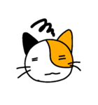 ファイブにゃん（個別スタンプ：28）