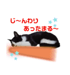 小春びより7（個別スタンプ：7）