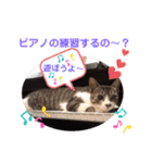 小春びより7（個別スタンプ：22）