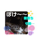 小春びより7（個別スタンプ：25）
