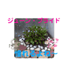 小春びより7（個別スタンプ：27）
