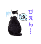 小春びより7（個別スタンプ：30）