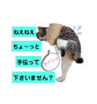 小春びより7（個別スタンプ：31）