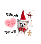 キキとララスタンプ冬（個別スタンプ：2）
