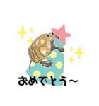 亀ってなんてかわいいの♥️4（個別スタンプ：12）