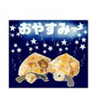 亀ってなんてかわいいの♥️4（個別スタンプ：15）
