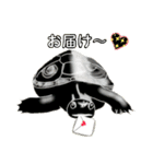 亀ってなんてかわいいの♥️4（個別スタンプ：24）