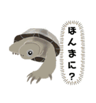 亀ってなんてかわいいの♥️4（個別スタンプ：27）