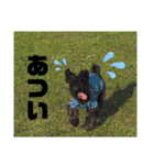 ぺぺとみみ3（個別スタンプ：5）