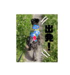 ぺぺとみみ3（個別スタンプ：7）