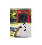 ぺぺとみみ3（個別スタンプ：8）