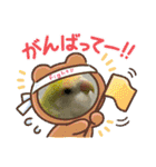 ゆきちゃん宅スタンプ15（個別スタンプ：5）