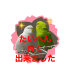 ゆきちゃん宅スタンプ15（個別スタンプ：9）