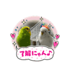 ゆきちゃん宅スタンプ15（個別スタンプ：11）