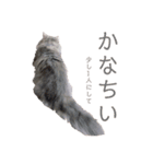 ミヌエットの王子（個別スタンプ：6）