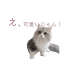 ミヌエットの王子（個別スタンプ：7）