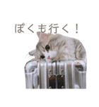 ミヌエットの王子（個別スタンプ：11）
