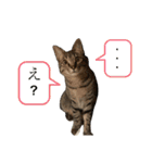 デチデチ音頭（個別スタンプ：9）